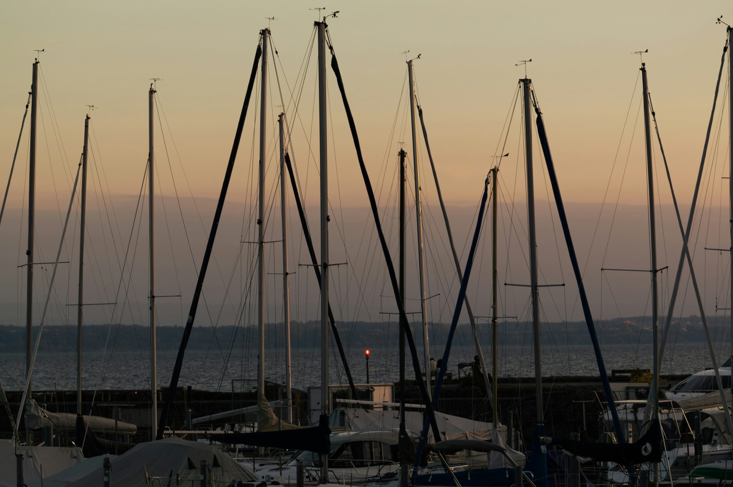 Masts of boats at sunset.